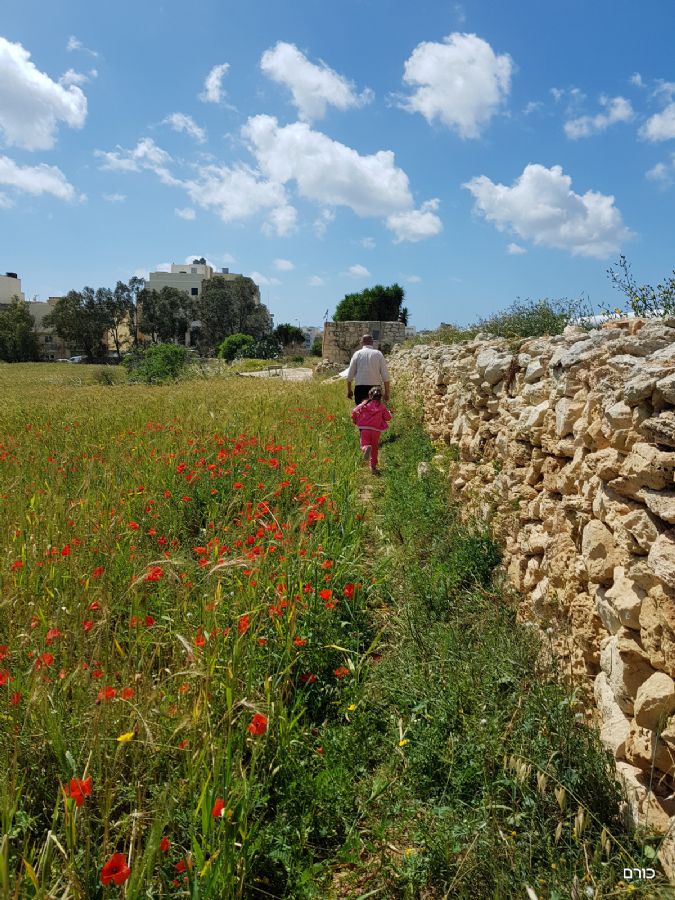 בדרך לח'אר דאלאם